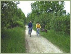 Zwei Radfahrer auf dem Radweg Teufelstein